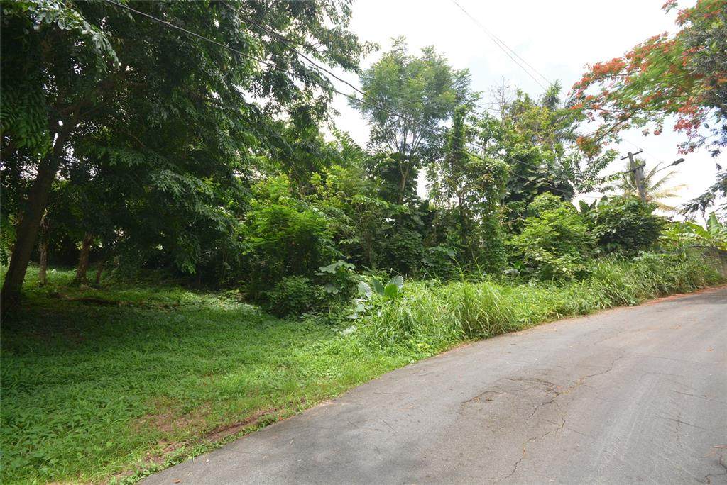 5 LOT - LAKEVIEW - Photo 1