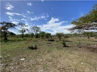 88 San Anton Ward, Sergio Collazo Street - Photo 1