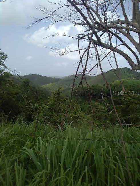 Pr 588 - Photo 1