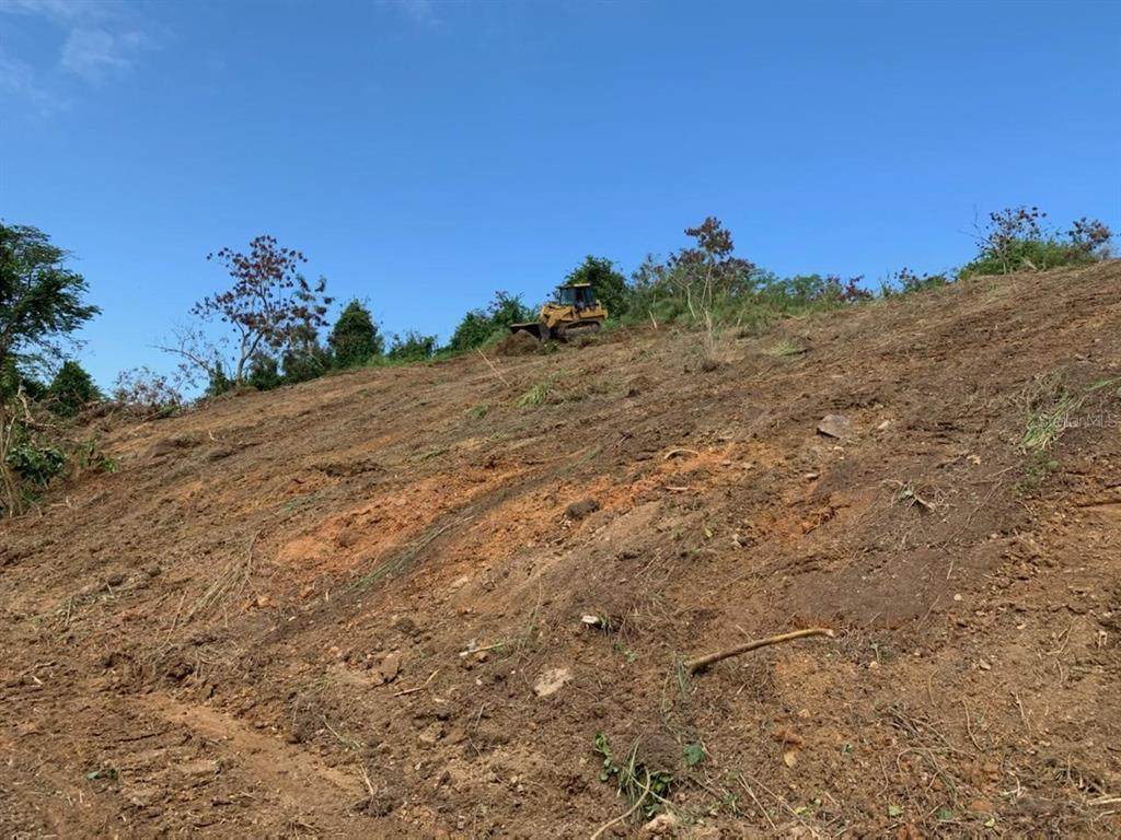 Las Cuevas Wd, Camino Los Barros - Photo 1
