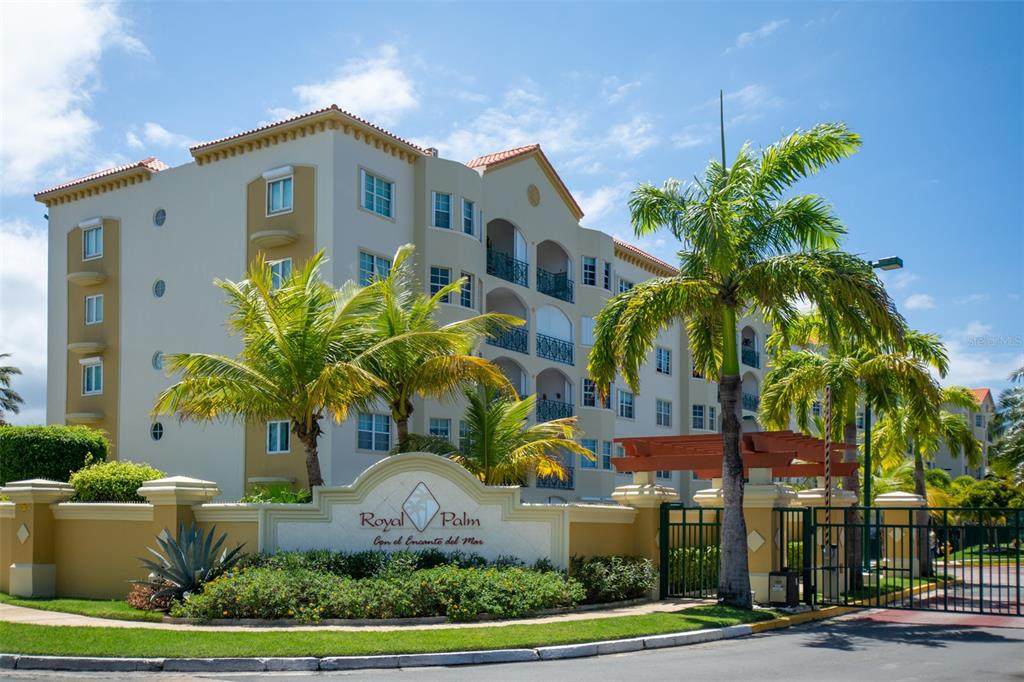 PR 6690 Royal Palm - Photo 1