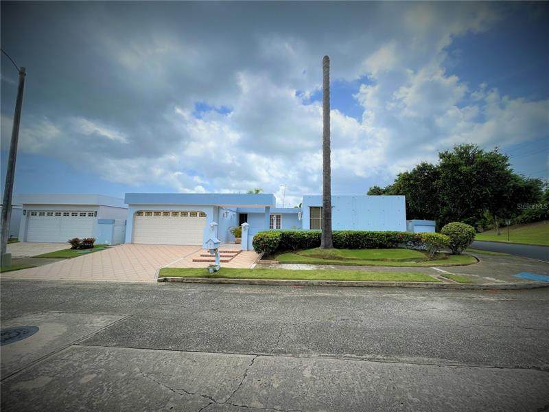 253 Bauhinia - Photo 1