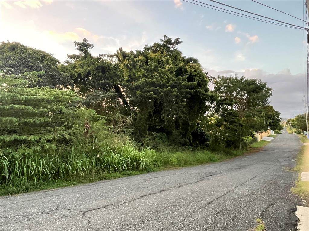 Carr 101 Kmhm 16.3, BOQUERON, PR 00622 (PR9104224) Southwest