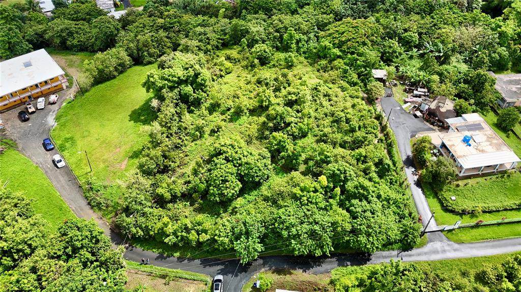 BO. CEIBA Carr. 935 - Photo 1