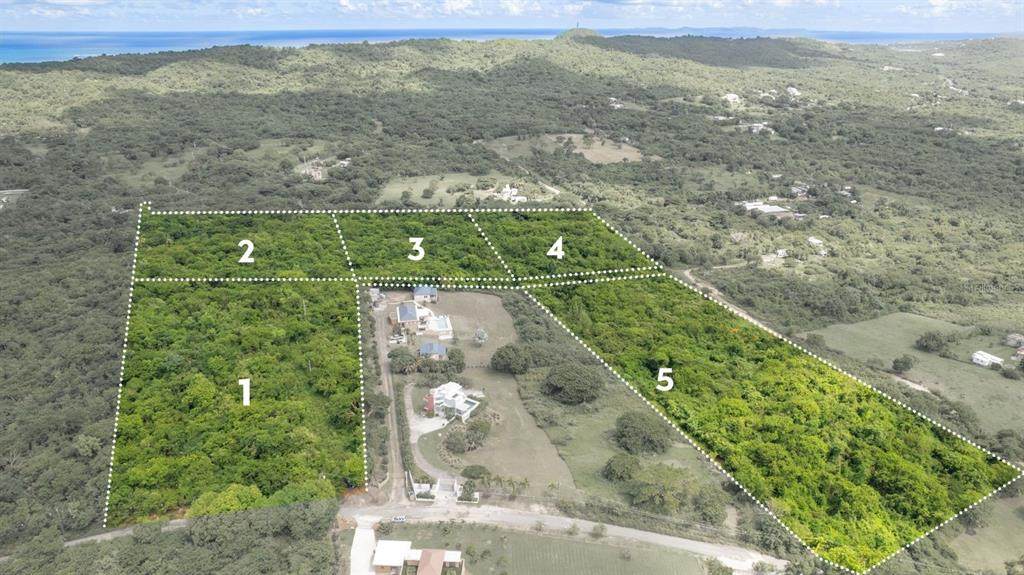 Lot 4 (B6) LA LLAVE - Photo 1