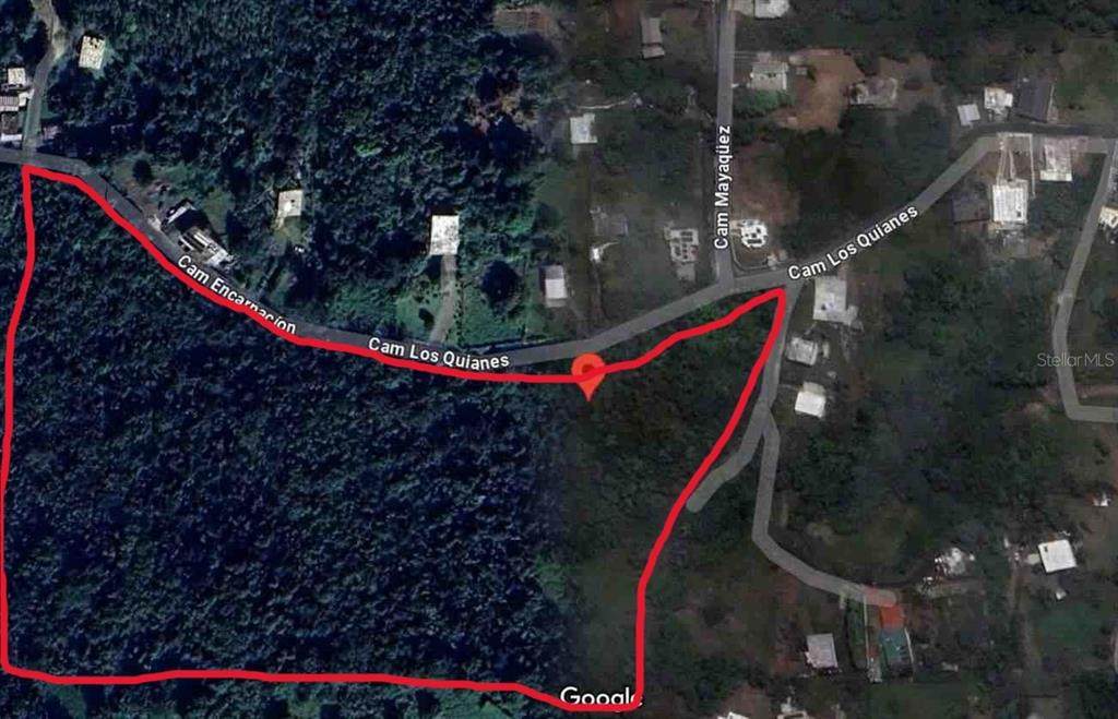  Los Quianes - Photo 1