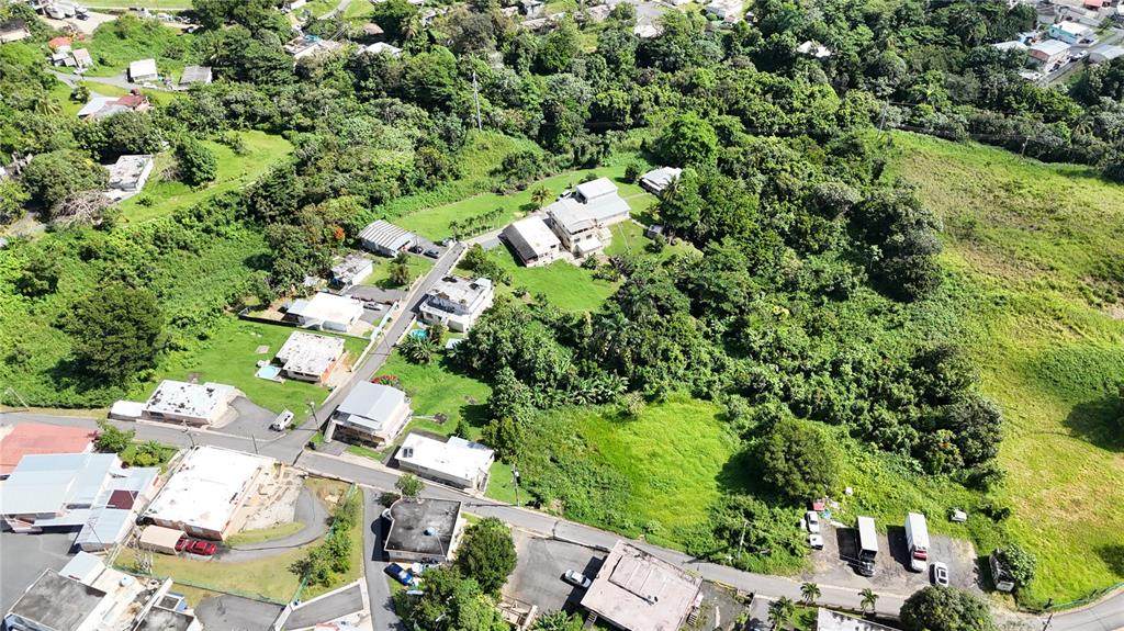 PR-165 Km 5.0 Bo. Quebrada Cruz - Photo 1