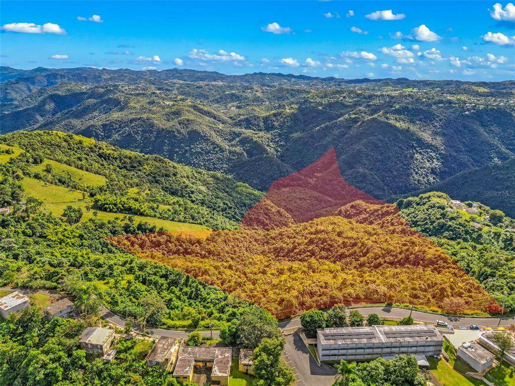 Carr. 156 Km 20.1 Interior Bo. Honduras - Photo 1