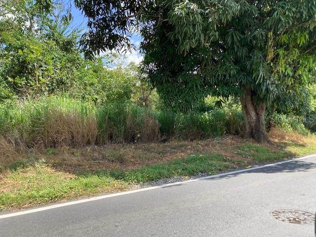 PR-784 State Road Pr-784 Road - Photo 1