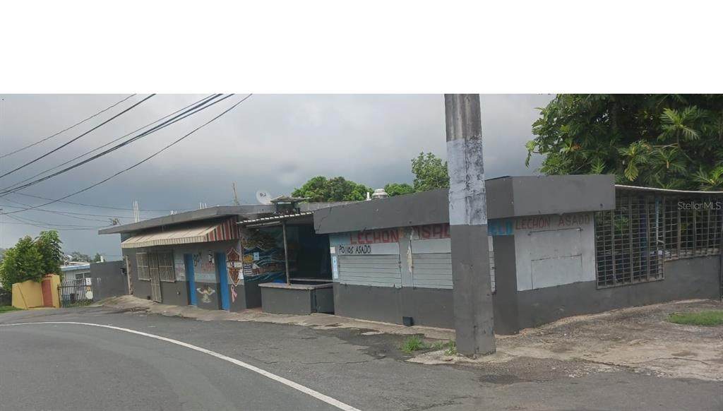 PR-156 KM 48.6 Sumidero Ward - Photo 1