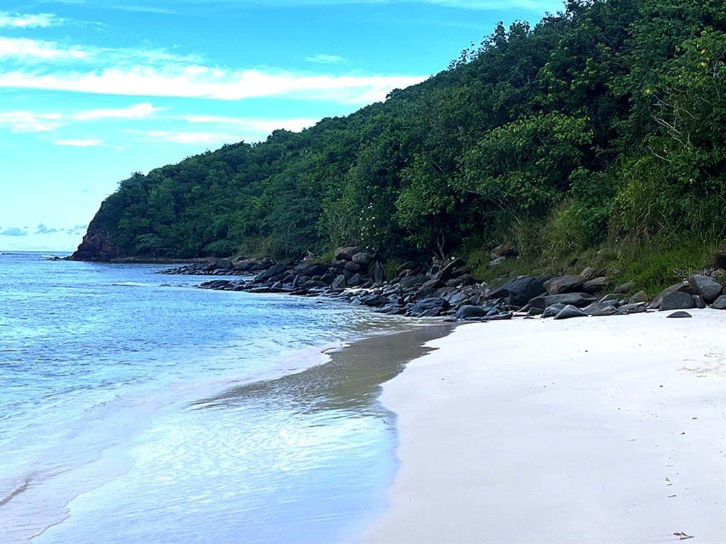 https://bt-photos.global.ssl.fastly.net/mfr/orig_boomver_1_PR9113062-2.jpg