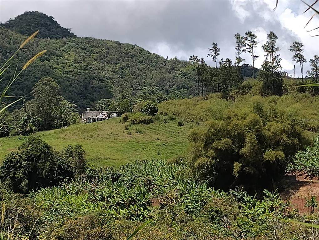 KM 0.2 INT Bo. Helec Pr 152 - Photo 1