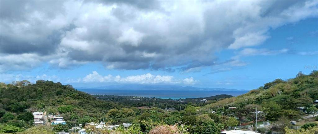  Loma Linda - Photo 1