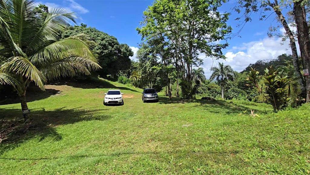  Bo Borinquen - Photo 1