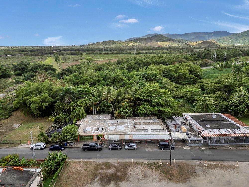 BO LOS POLLOS Sector Providencia - Photo 1