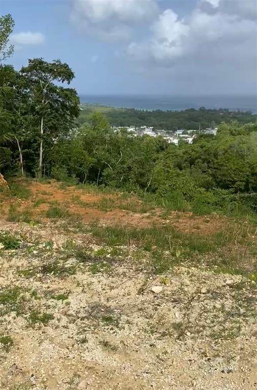 #2 Calle Lynn - Photo 1