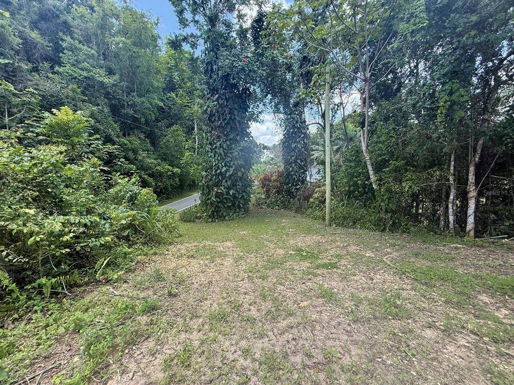 PR-641 KM 6.0 Rio Arriba Poniente - Photo 1