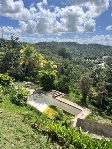 Carr. 844 Km4.5 Int. Cupey Bajo - Photo 1