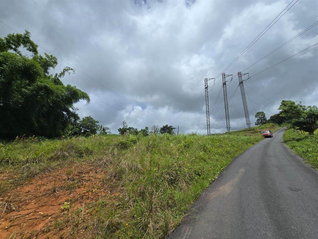 46 Parcela En Bo Jacanas - Photo 1