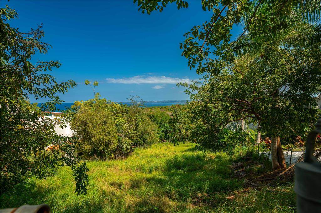  Calle Miramar - Photo 1