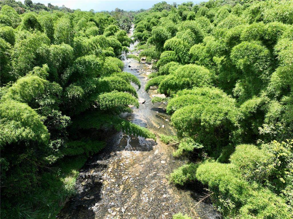 Carr 181 KM 10 Quebrada Honda - Photo 1