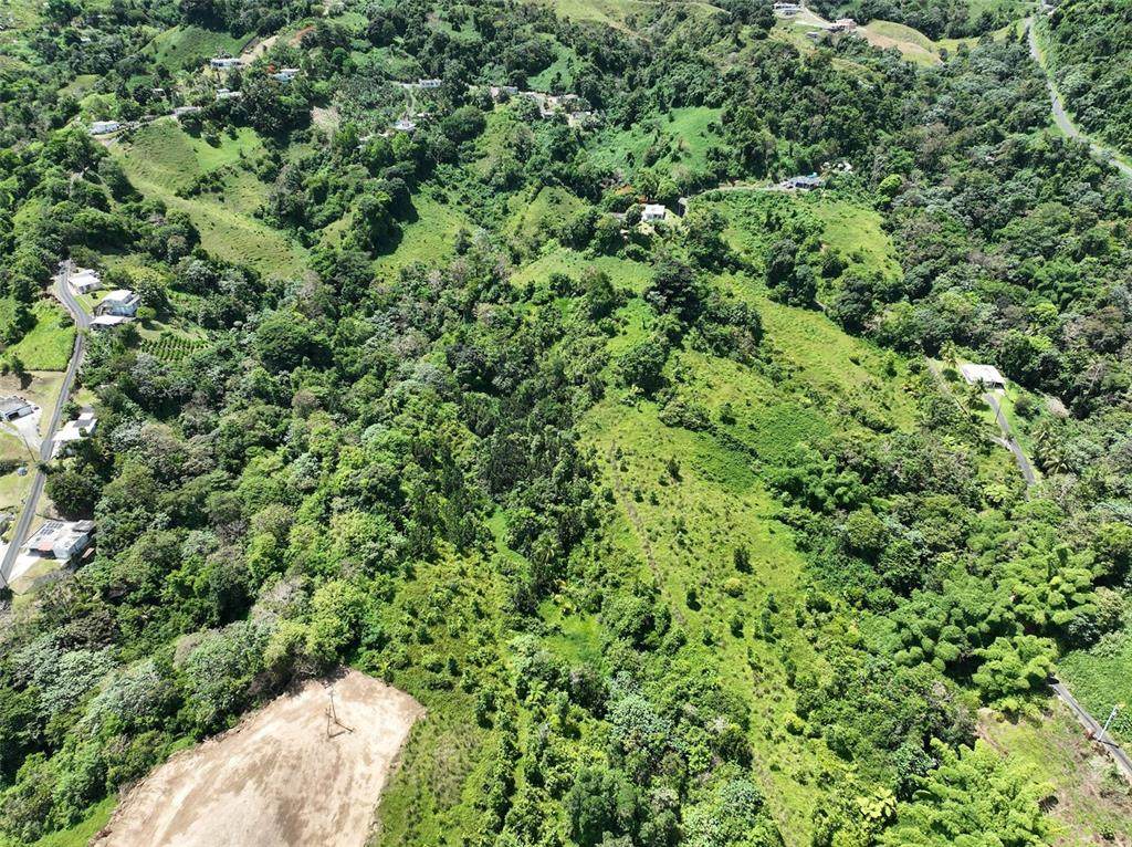  Carr 902 Km 10.1 - Photo 1