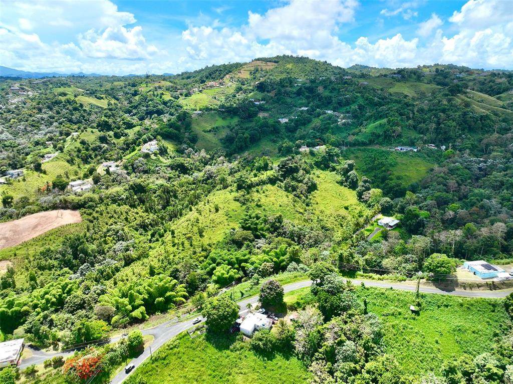  Solar #6 Carr 902 - Photo 1