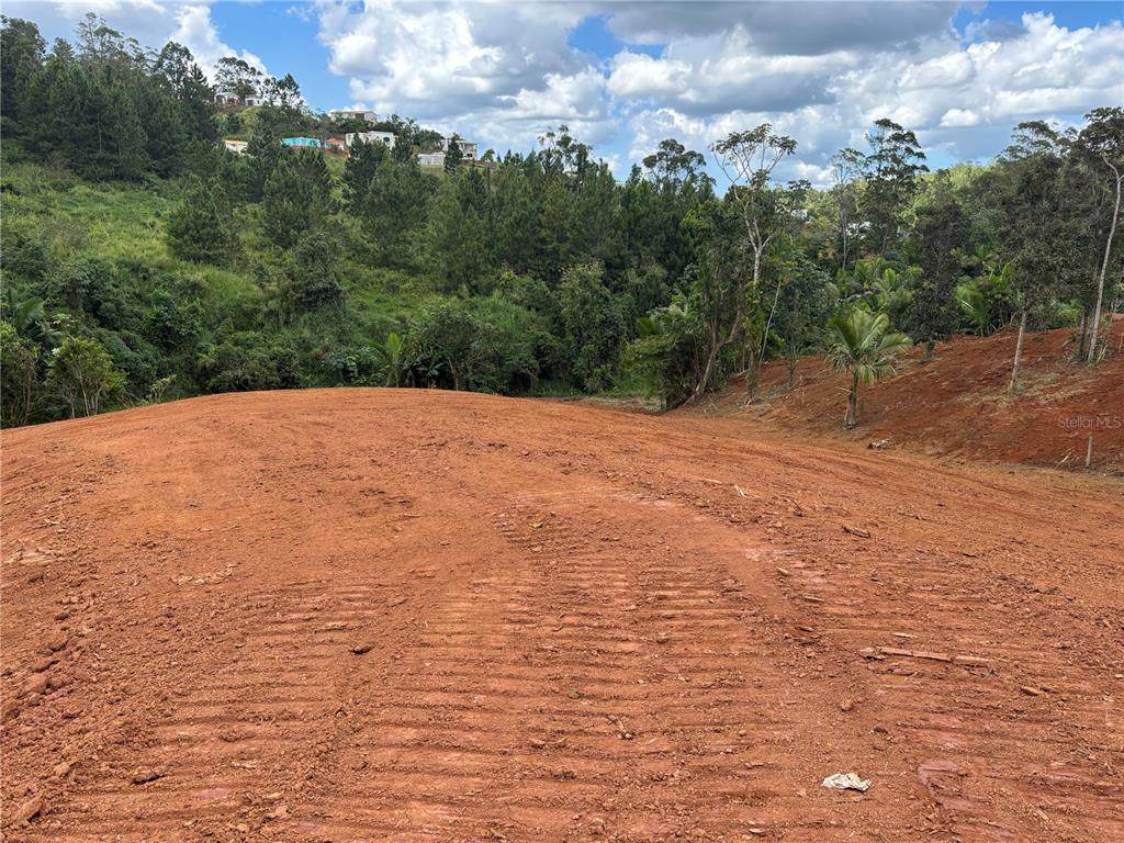  Carr 569 Km 2.7 Int Bo. Sabana - Photo 1