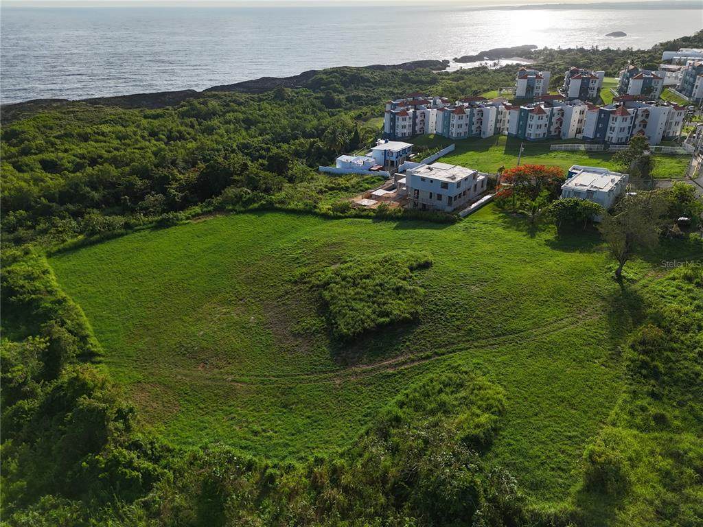  Lolita Natal - Photo 1