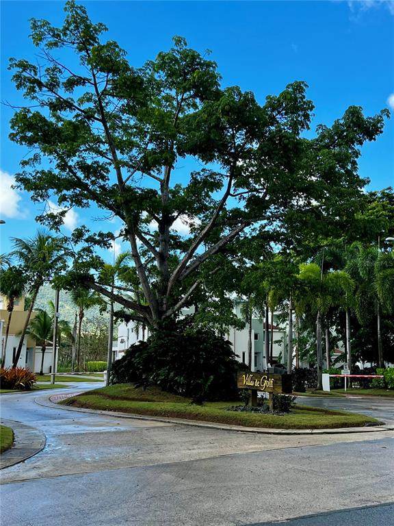 Ave Boulevard Villas De Golf - Photo 1