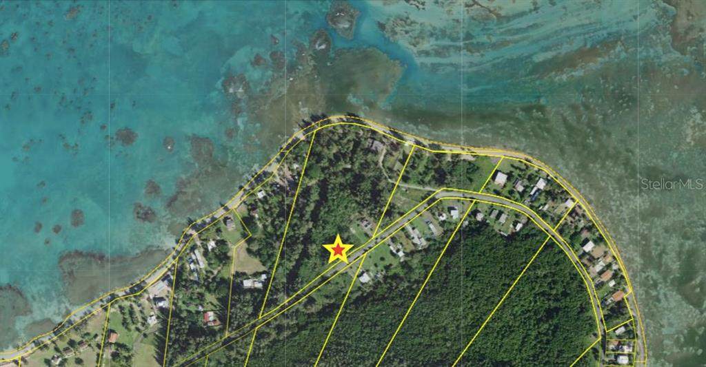 968 Camino Las Picuas Lot 18 - Photo 1