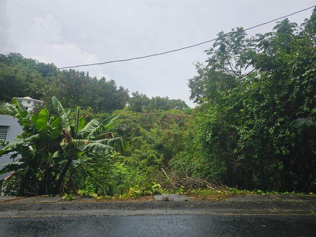 https://bt-photos.global.ssl.fastly.net/mfr/orig_boomver_1_PR9115568-2.jpg