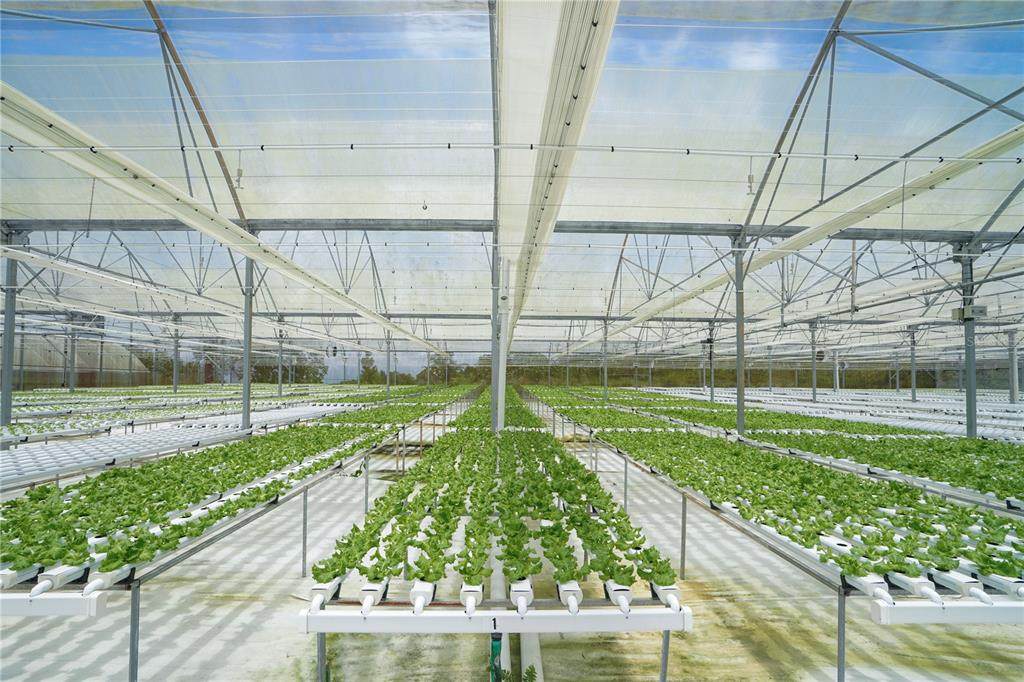 Sector Palmasola Bo. Buenos Aires - Photo 1