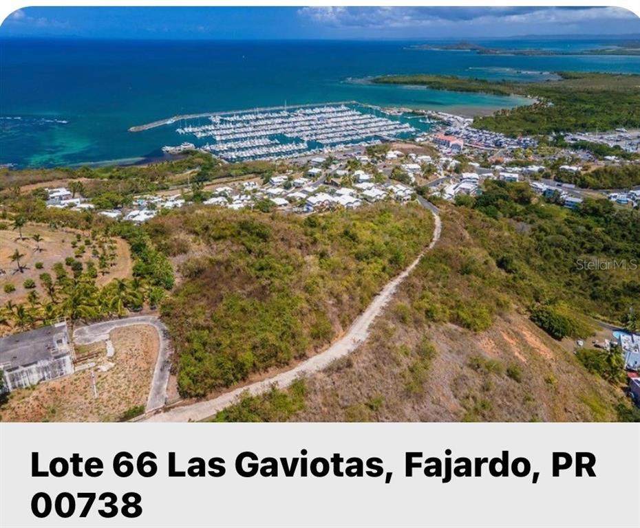 Lot #66 Las Gaviotas Carretera 3, Ceiba, Fajardo 00738 Cro - Photo 1