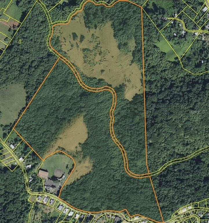  Sr 108 Km 7.4 Rio Ca&ntilde;as Wd - Photo 1