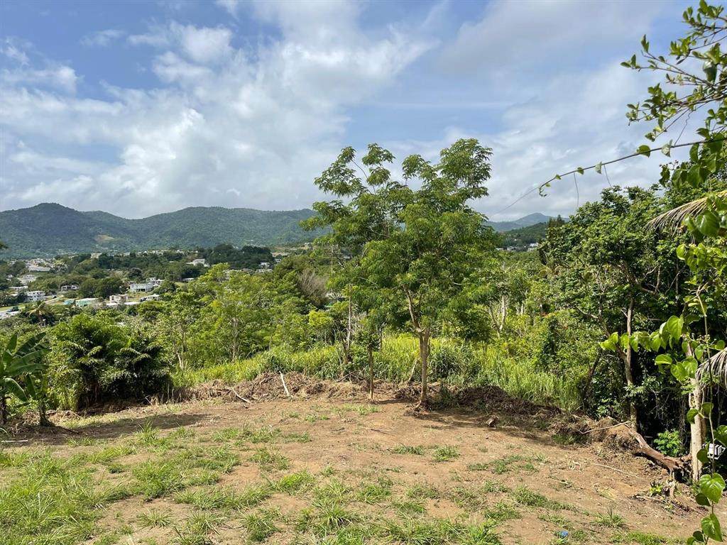  Bo. Arenas Carr Pr-734 Km 6.3 - Photo 1