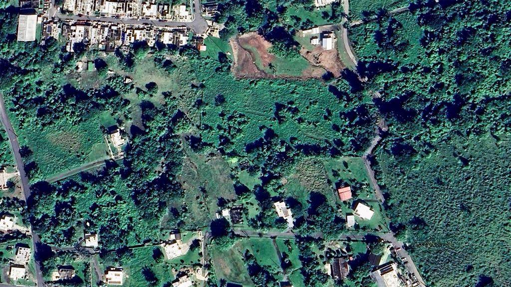  Bo Zaral Sec Carola - Photo 1