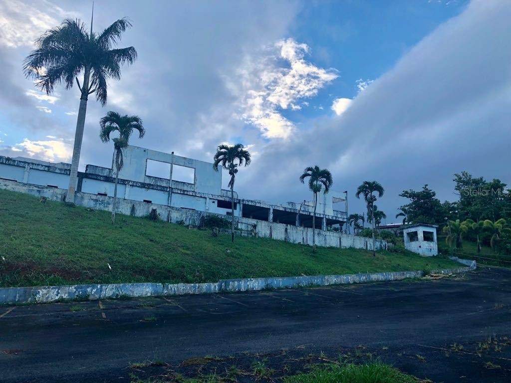 LOT 1 PR 174 KM 22.7 Sonadora Ward - Photo 1