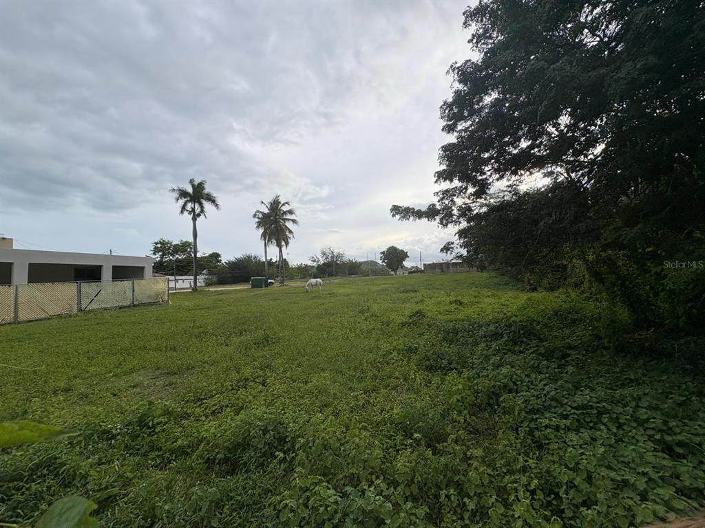 1 Juana Diaz - Photo 1