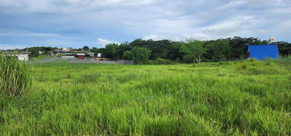 Carr. 101 Sector Arenas, Bo. Boquer&oacute;n - Photo 1