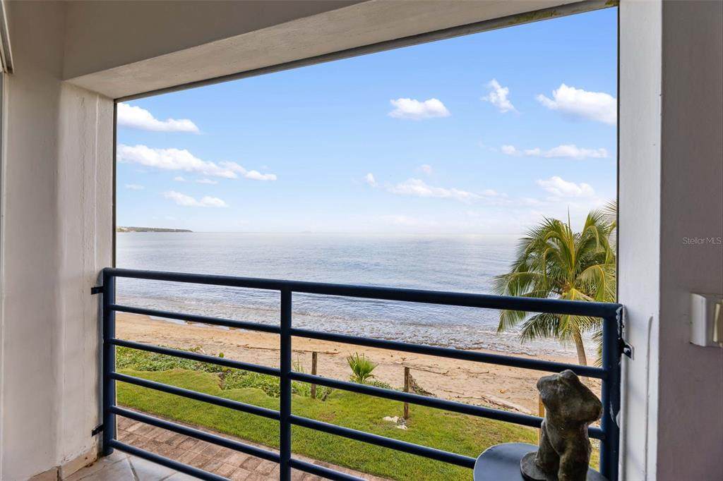 202 Carr 441 (Golden Girl) - Photo 1