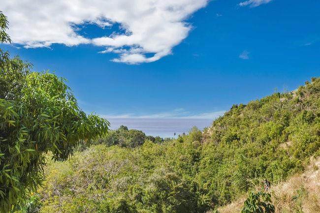 ENSENADA La Joya- Tres Palmas Tropical Estates - Photo 1