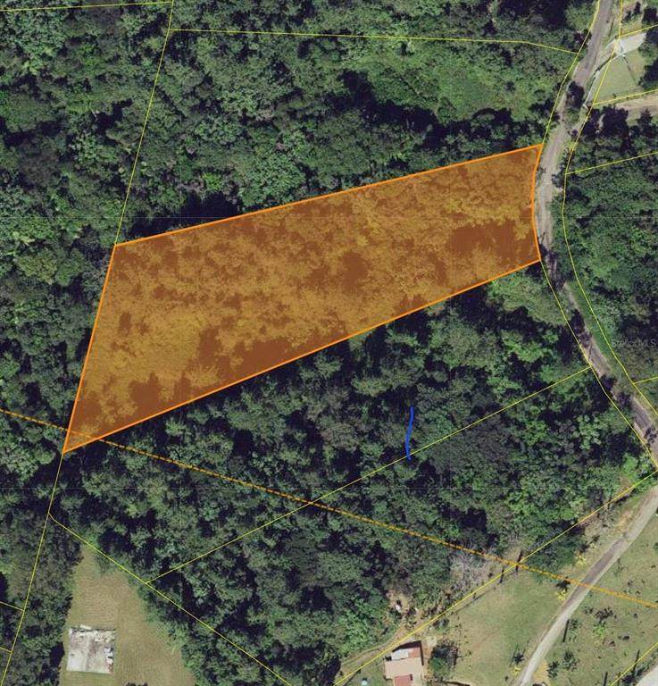  Calle Coqui Palmeado - Photo 1