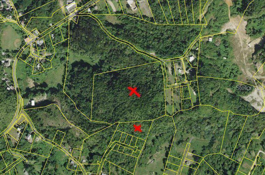  Carr. 443 4.9 Interior - Photo 1