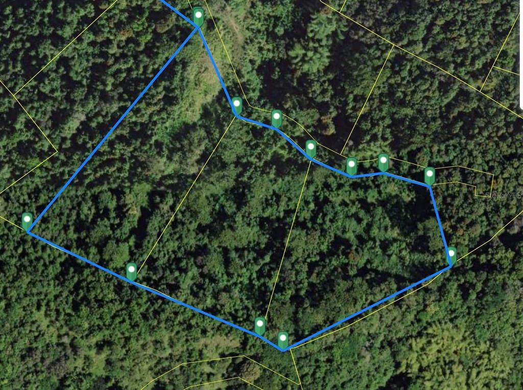 BO MASA DE GURABO Carr 181 Km 13 Hm 2 - Photo 1