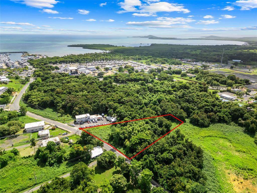 Carr. 982 Km 0.3 Bo. Demajagua - Photo 1