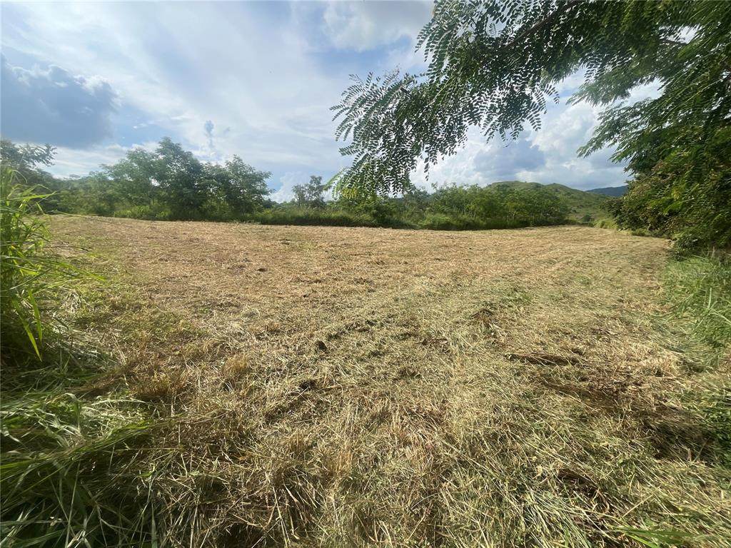 KM HM 17.7 Carr 150 - Photo 1