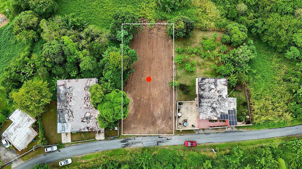  Bo. Buena Vista - Photo 1