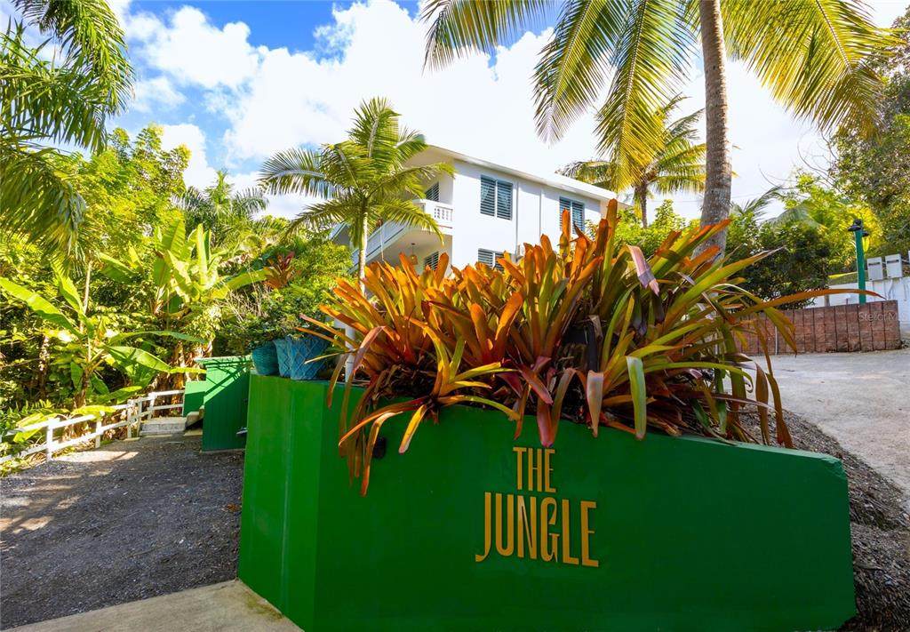 Carr. 413 Int.  Km 4 The Jungle - Photo 1