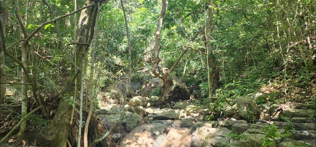 Carr. 412, Km. 4.8 Calle Pascual Nieves, Bo. Calvache - Photo 1